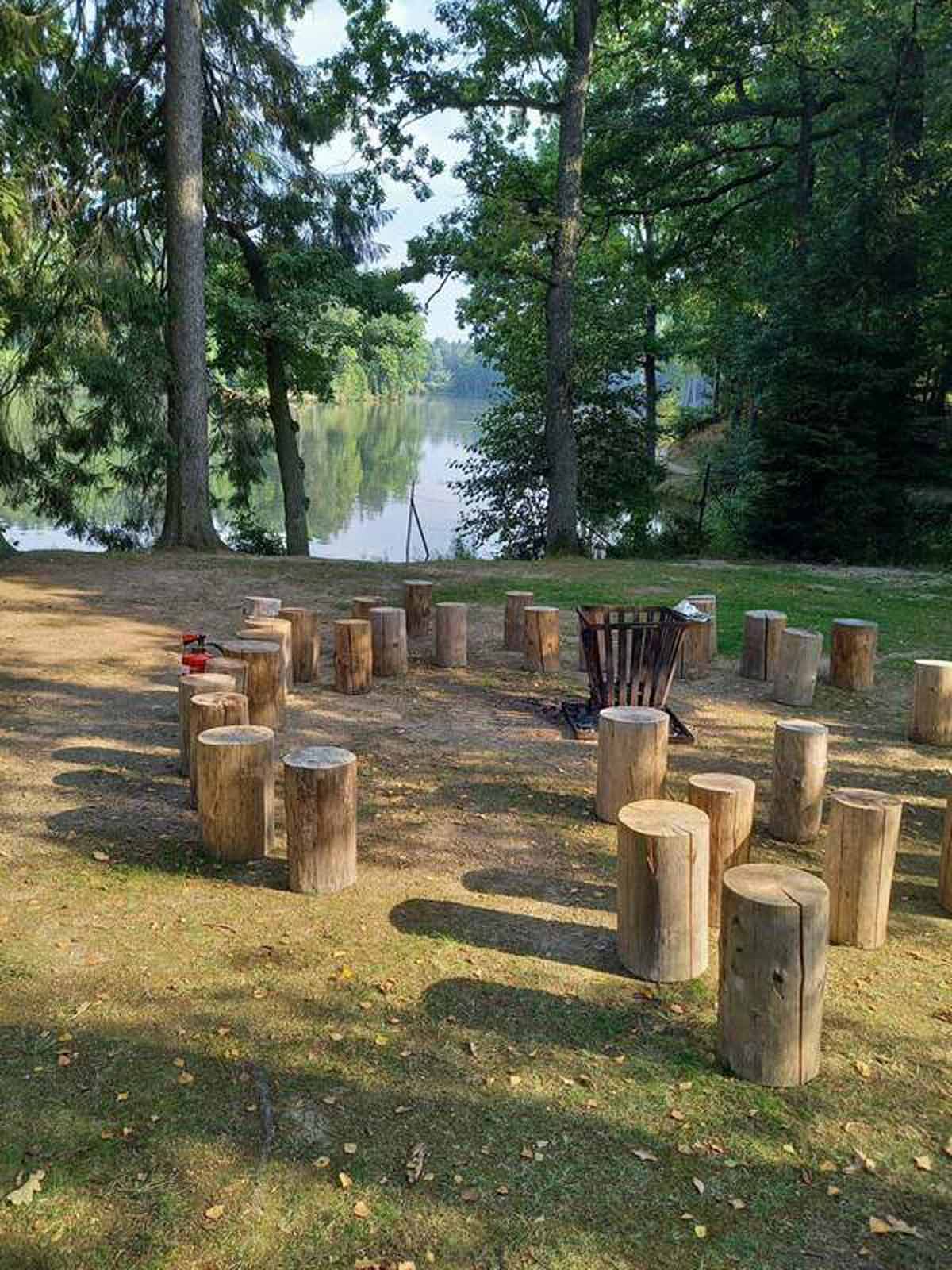 Wald See Wald