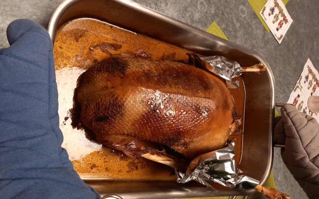 Ganslessen mit Theaterhintergrund