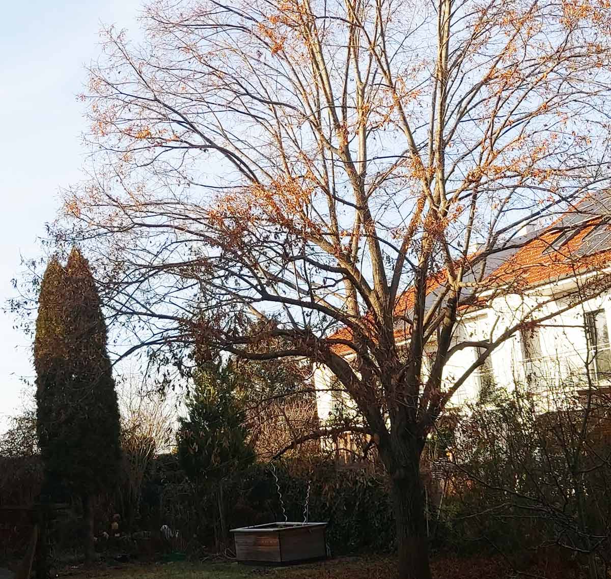 63-Radiogeschichte-Brunnerart