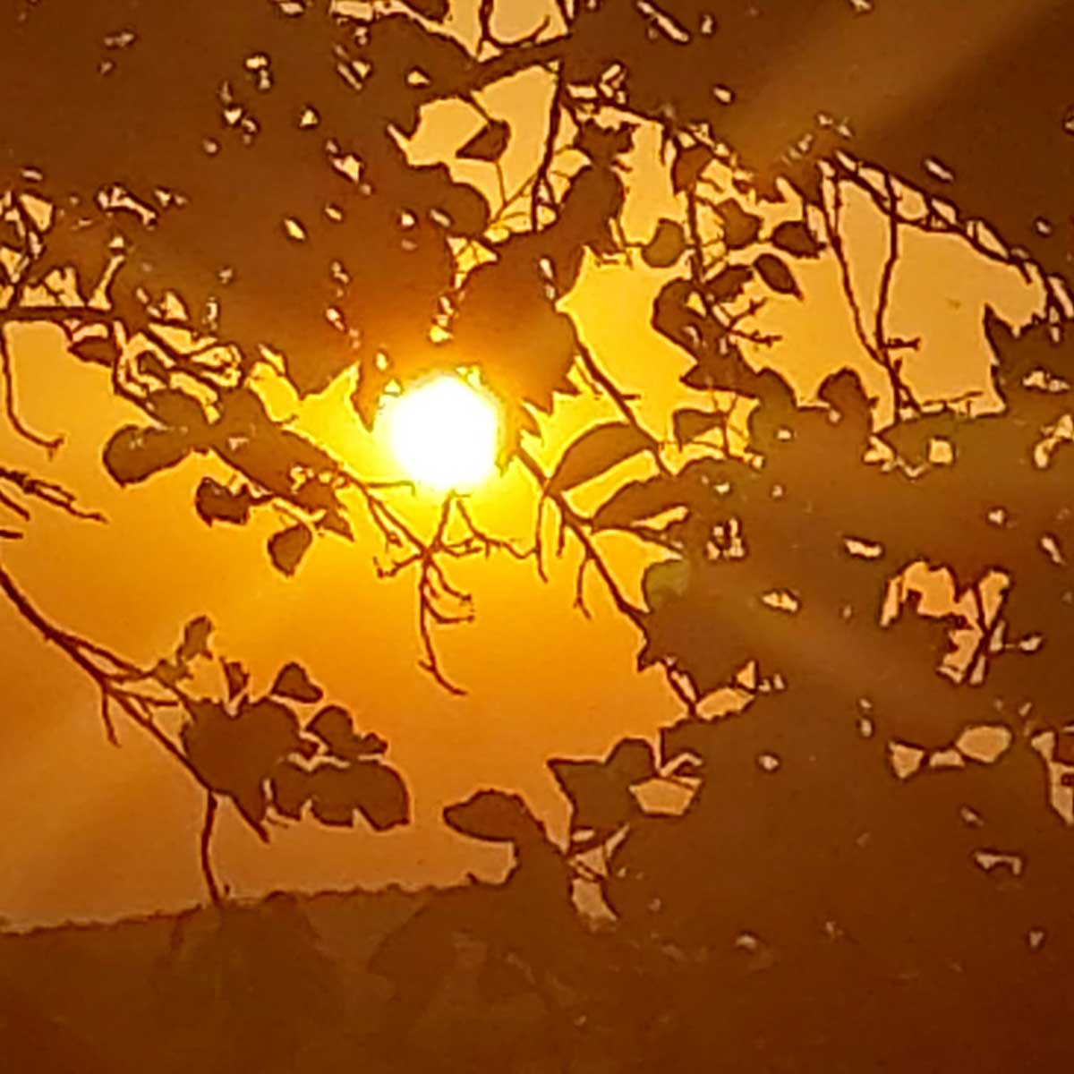69N-64-Radiogeschichte-Sonne-Brunnerart